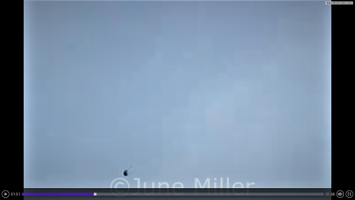 Release @ 1:51