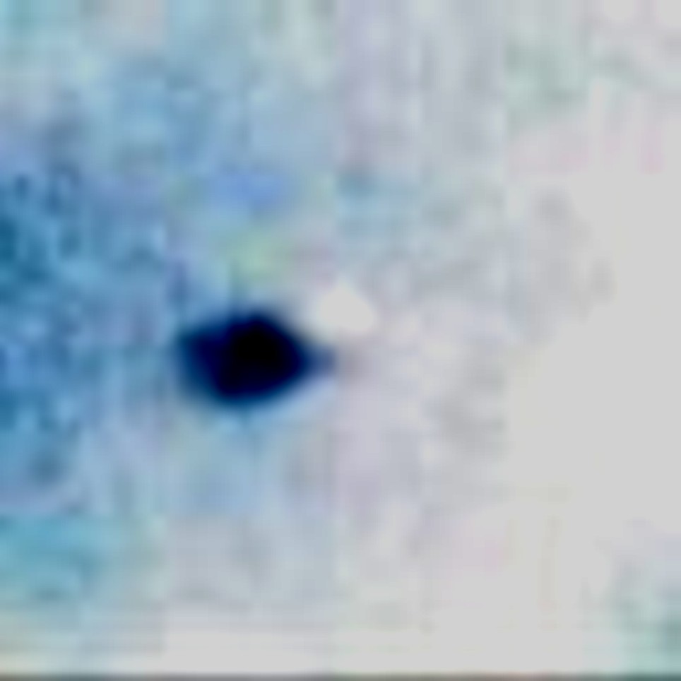 Enlarged photo of mysterious object