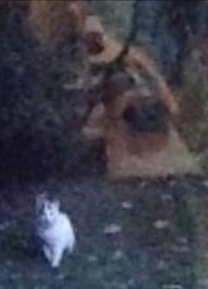 Crop