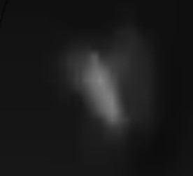 Enlarged crop